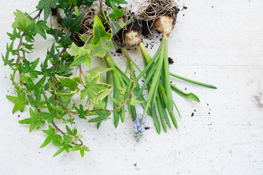 Similar image 20070719