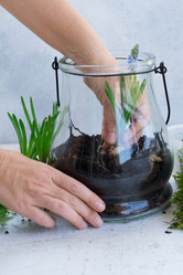 Similar image 20070720