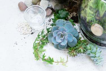 Similar image 20070722