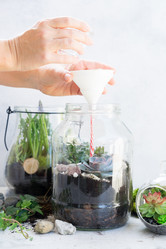 Similar image 20070723