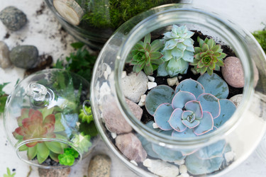 Similar image 20070726