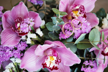 Similar image 20156893