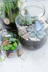 Similar image 20070728