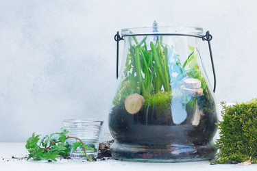 Similar image 20070729