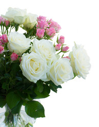 Similar image 20070731