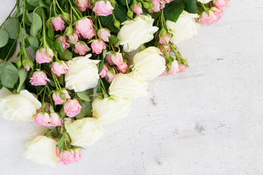 Similar image 20070739