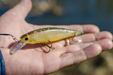 Similar image 20113873