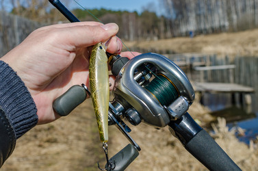 Similar image 20113874