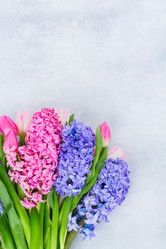 Similar image 20069759