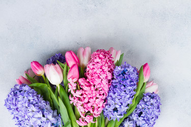 Similar image 20069760