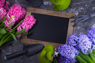 Similar image 20069762