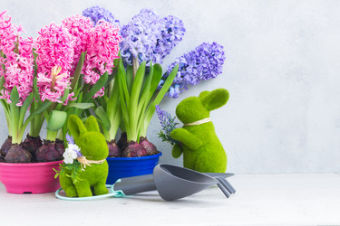 Similar image 20069768