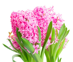 Similar image 20069770