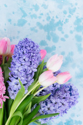 Similar image 20069771