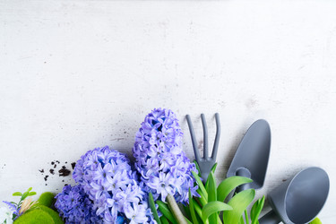 Similar image 20069772