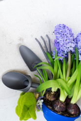 Similar image 20069773