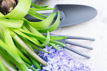 Similar image 20069774