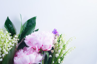 Similar image 20069807