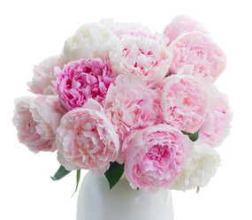 Similar image 20069821