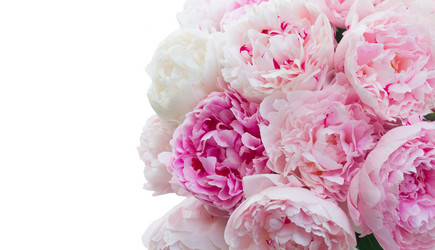 Similar image 20069822