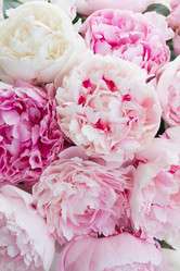 Similar image 20069823