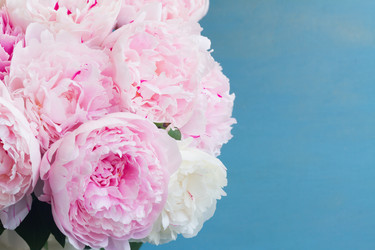 Similar image 20069824