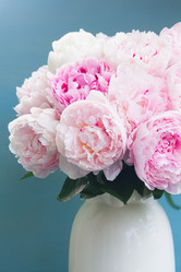 Similar image 20069825