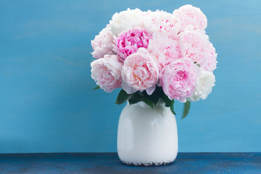 Similar image 20069826