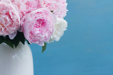 Similar image 20069827