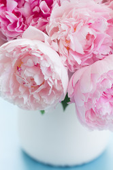 Similar image 20069828