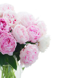 Similar image 20069829