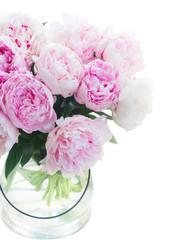 Similar image 20069830