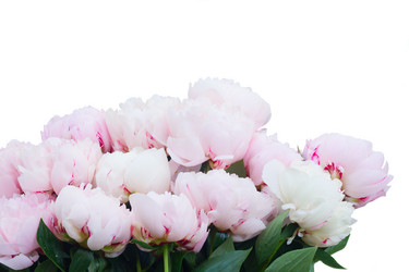 Similar image 20069831