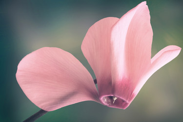 Similar image 20166270