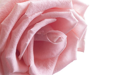 Similar image 20166273