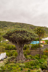 Similar image 20121262