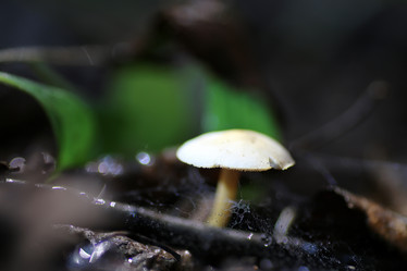 Similar image 20052891