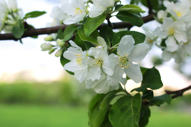 Similar image 20052892