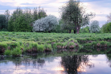 Similar image 20052893