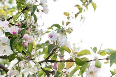 Similar image 20052895