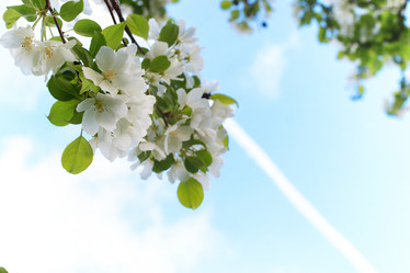 Similar image 20052896