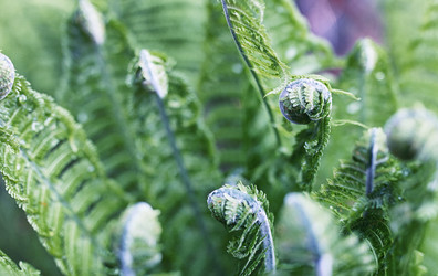 Similar image 20052903