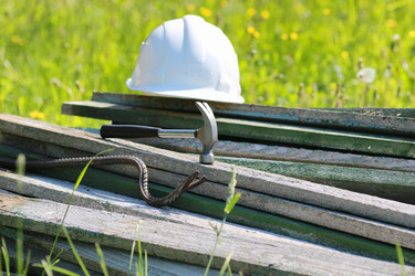 Similar image 20052909