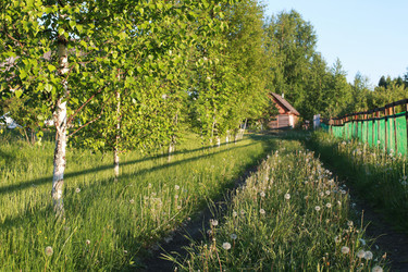 Similar image 20052910