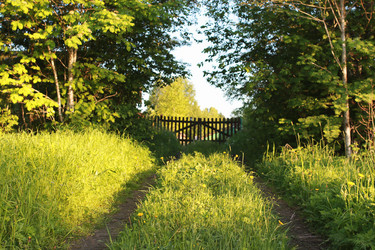 Similar image 20052911