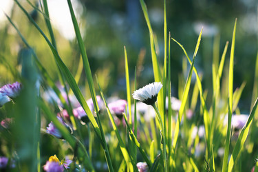 Similar image 20052913