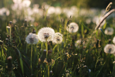 Similar image 20052914