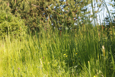 Similar image 20052918