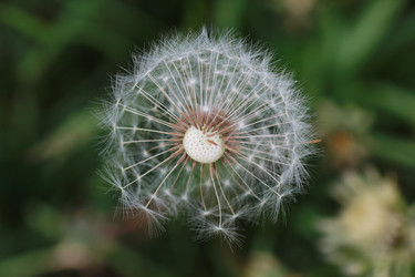 Similar image 20052920