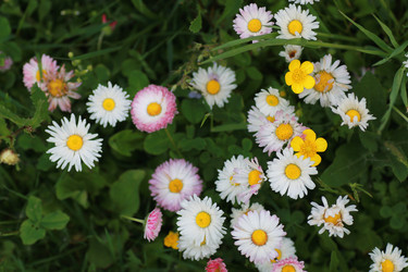 Similar image 20052921